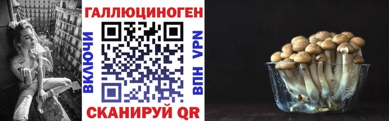 Псилоцибиновые грибы Psilocybe Болохово