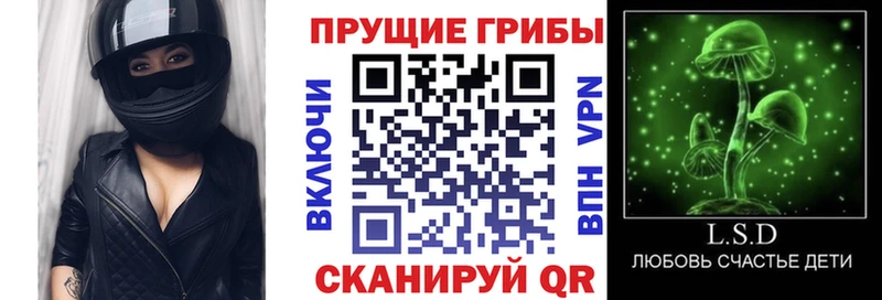 kraken зеркало  цены наркотик  Болохово  Галлюциногенные грибы Psilocybine cubensis 